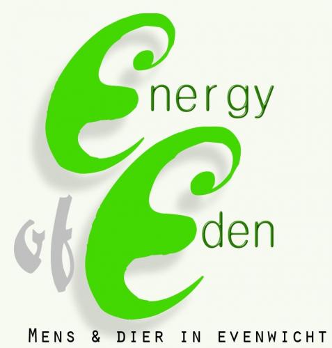 Energy of Eden Wevelgem