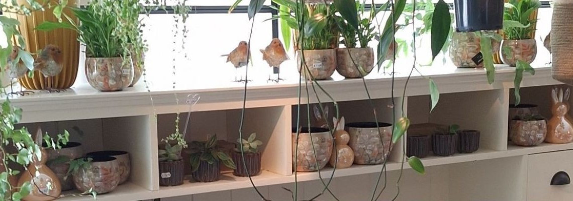 Ontdek het gezicht achter... Fiori