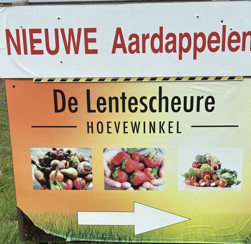 De Lentescheure De-haan